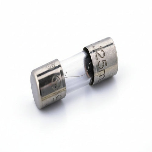 BK-GMA-10-R 10A Glass Cartridge Fuse, 5 x 20mm, Speed F