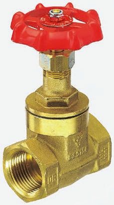 Gate Valve C70BSCR-32, 1-1/4in