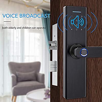 WIN-S4088 Electronic WiFi APP Password Door Lock Intelligent Biometric Fingerprint Door Locks Digital Keyless Home Hotel Door Lock