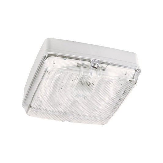 1050369126 Newlec External Square Prismatic 2D Bulkhead IP65 16W White