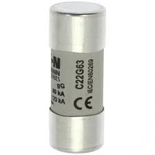 C22G63 BUSSMANN FUSE 22X58gG 690V 63A