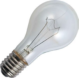 BULB E40 300W 110V