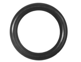 RNG01697 O-Ring