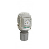 R10008GW Pressure Reducer