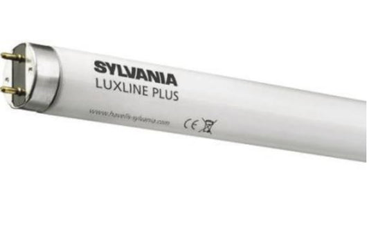 580 18 W T8 Fluorescent Tube, 1350 lm, 600mm, G13