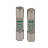 A1022166 FR22AM69V63P  Ceramic Cartridge Fuse