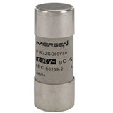 P214626 FR22GG69V50 Ceramic Cartridge Fuse
