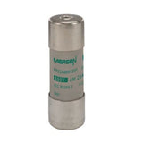 Q213615 FR22AM69V25P  Ceramic Cartridge Fuse