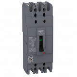 EZC100H3080 Molded Case Circuit Breaker